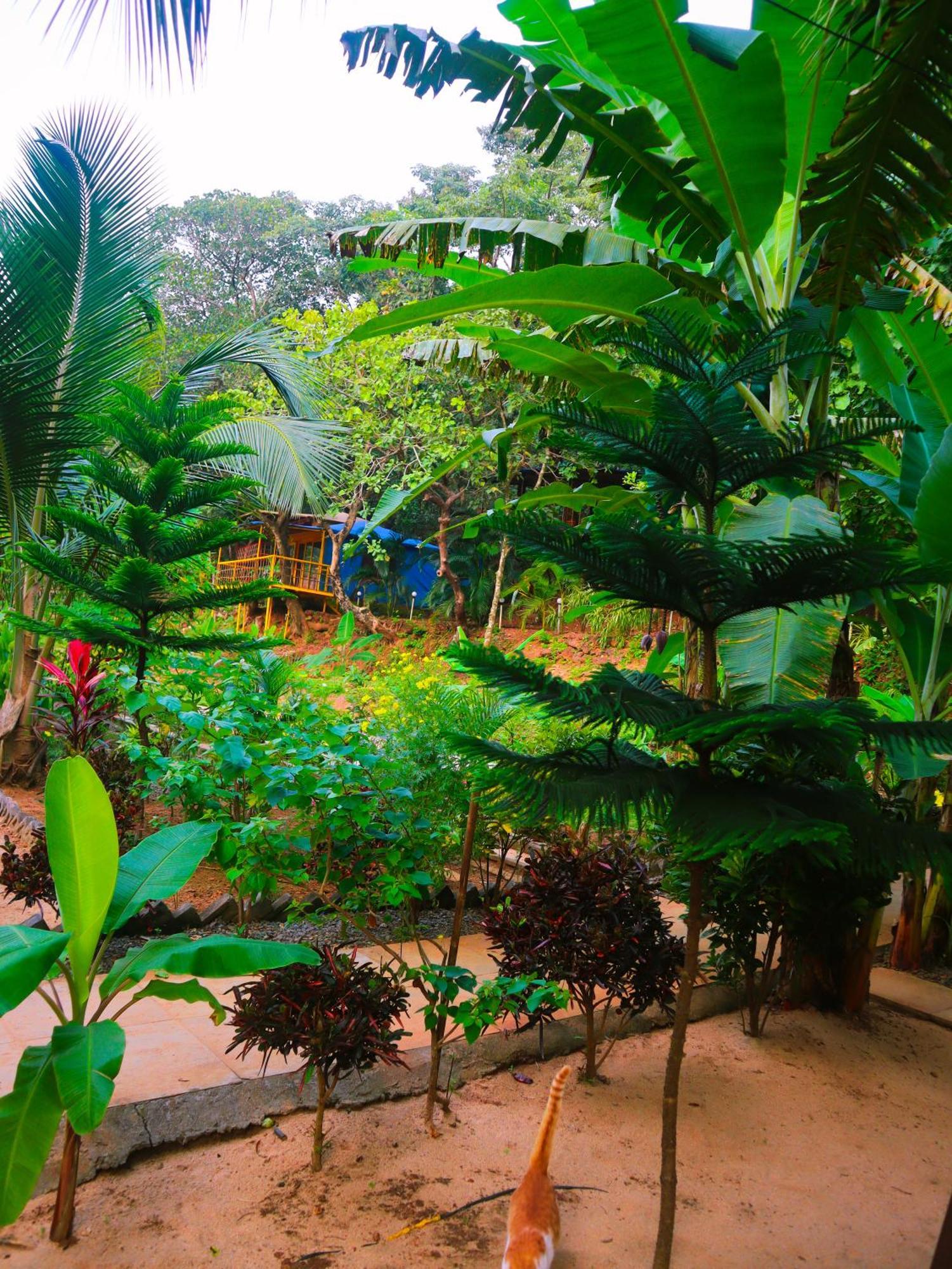 Samyama Retreat Hotel Cola Ngoại thất bức ảnh