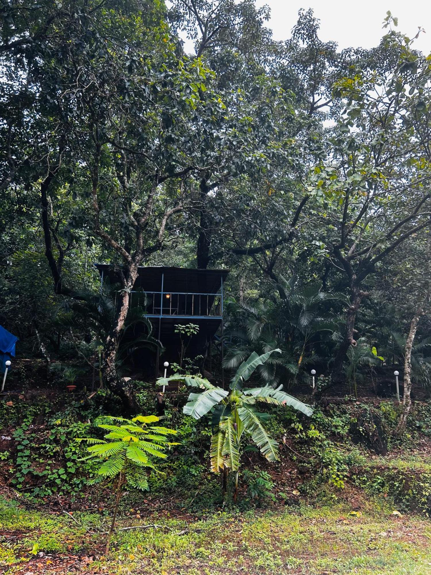 Samyama Retreat Hotel Cola Ngoại thất bức ảnh